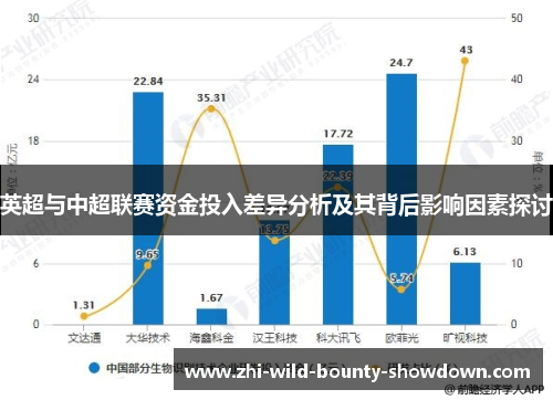 英超与中超联赛资金投入差异分析及其背后影响因素探讨
