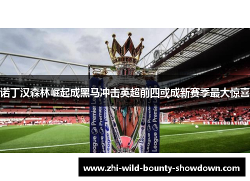 诺丁汉森林崛起成黑马冲击英超前四或成新赛季最大惊喜